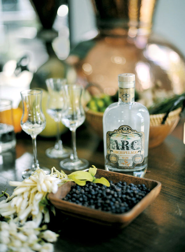 ARC GIN - The Award-Winning Gin From The Philippines