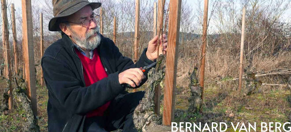 Bernard Van Berg - A One-Of-A-Kind Winemaker
