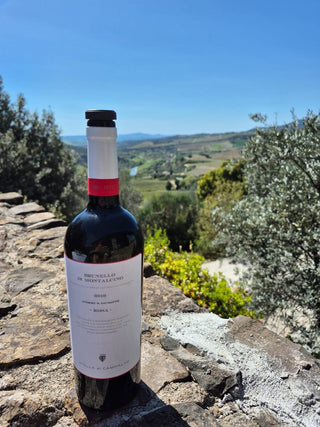 Stella di Campalto: Inside Montalcino's Cult Brunello, and the New 2016 Rosa
