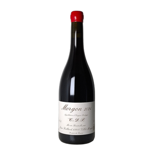 JEAN FOILLARD MORGON COTE DU PY 2024